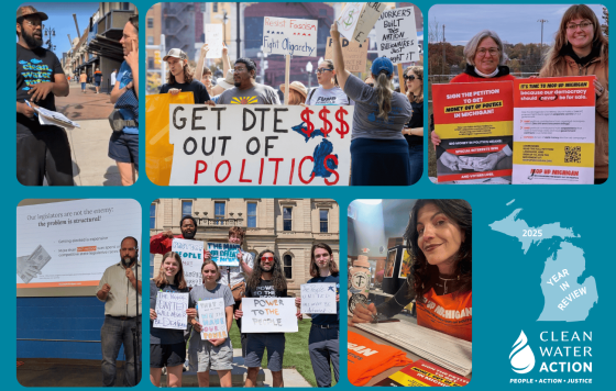 Michigan 2025 Year In Review - Michiganders For Money Out Of Politics collage 