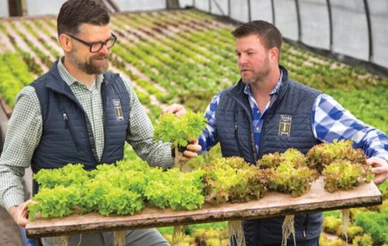 Wise Acre Owners Scott and Dean holding lettuce plants in a hoop house