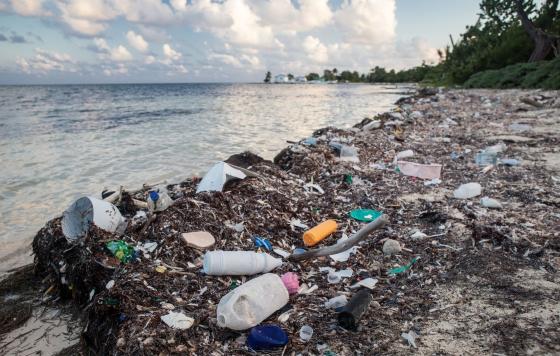 RI_plastic on beach_canva