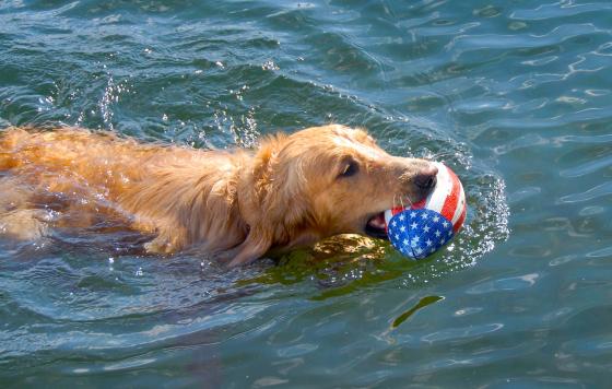 Let's Break Free from Plastic