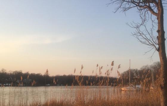 Beards Creek. Laura Melamed - Clean Water Action