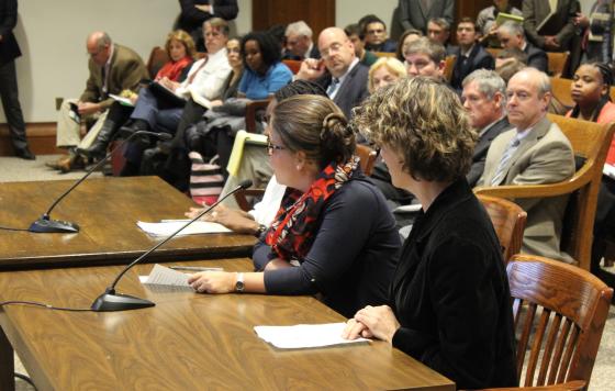 Maria Belen Power - Chelsea GreenRoots, Andrea Nyamekye - Neighbor to Neighbor, Madeleine Scammell - BUSPH