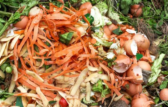 NJ_Food Waste Source: Canva