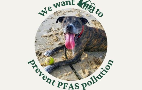 National - REI Blog  (2).jpg