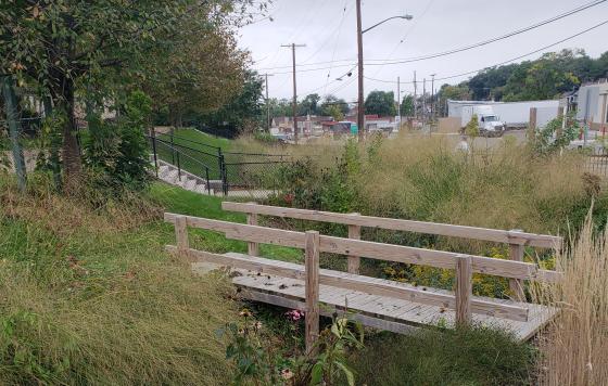 PA_Photo of Negley Run_Clean Water Action_by Madeline Weiss.jpg