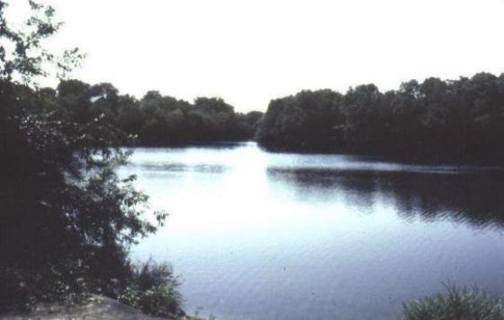 Photo by Rhode Island Department of Environmental Management, 2004.