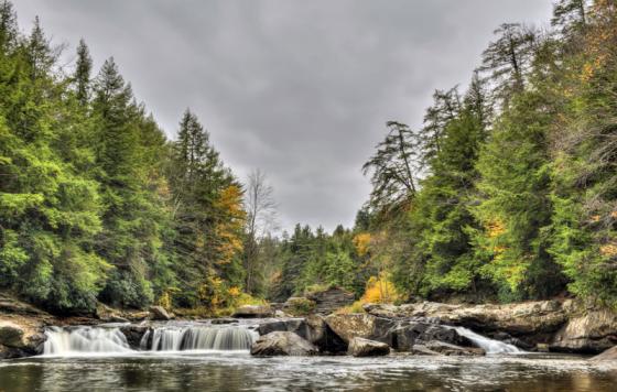 Swallow Falls - western MD