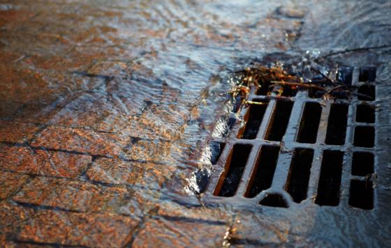 Street drain, stormwater runoff. Photo credit: Abramov Timur / Shutterstock