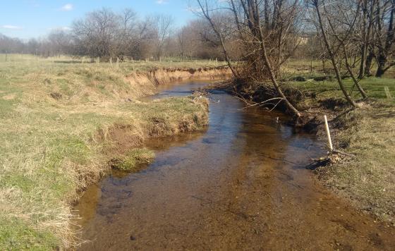 A picture of Little Tuscarora Creek in Frederick County. The banks are slightly eroded.  Several mature trees are leaning over toward the water on the left, while newly-planted trees are on the right.