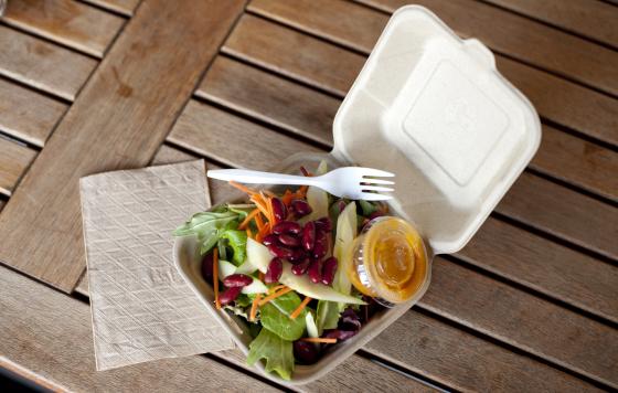 lunch in a disposable container