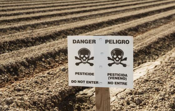 Farm field with a pesticide warning sign. Photo credit: Tom Grundy / Shutterstock