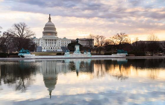 U.S. Capitol Building / photo: shutterstock, Cvandyke