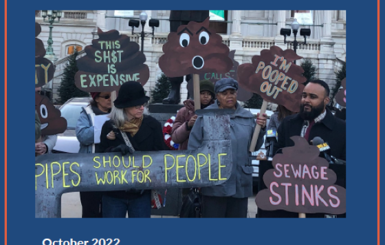 Screenshot of the title page of the report