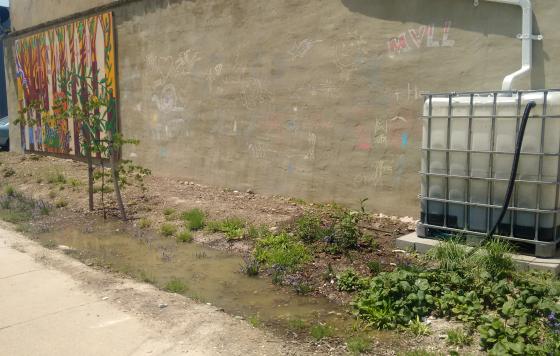 Baltimore&#039;s stormwater remediation fee could be funding green stormwater restoration projects like this rain garden in McElderry Park. Photo by Jennifer Kunze.